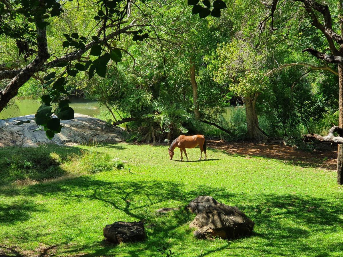 Blyde River Wilderness alojamiento Hoedspruit Exterior foto